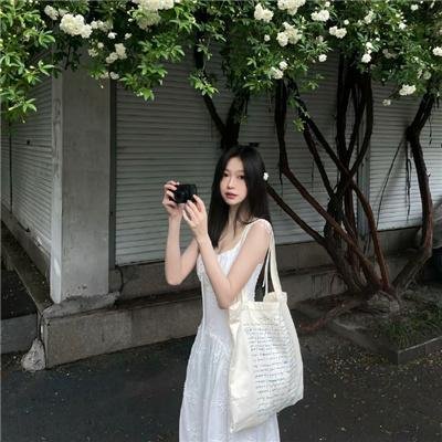 风雪狼道